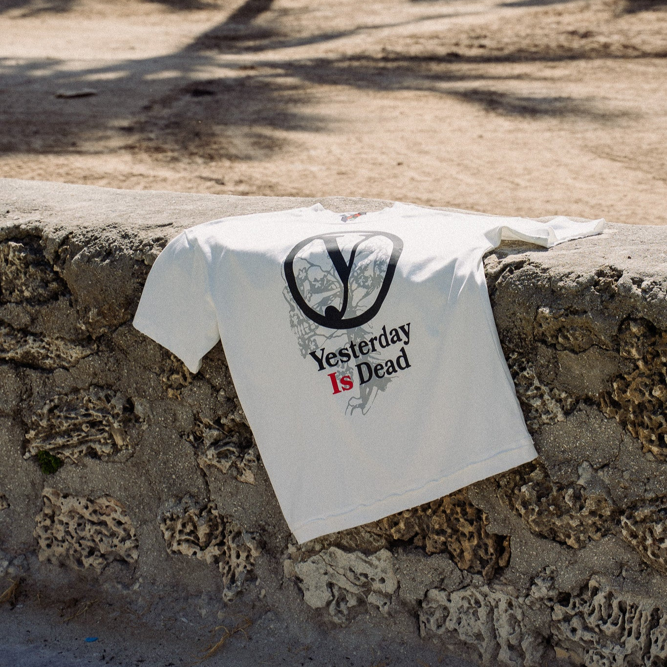 SKULL DISTRESSED TEE WHITE